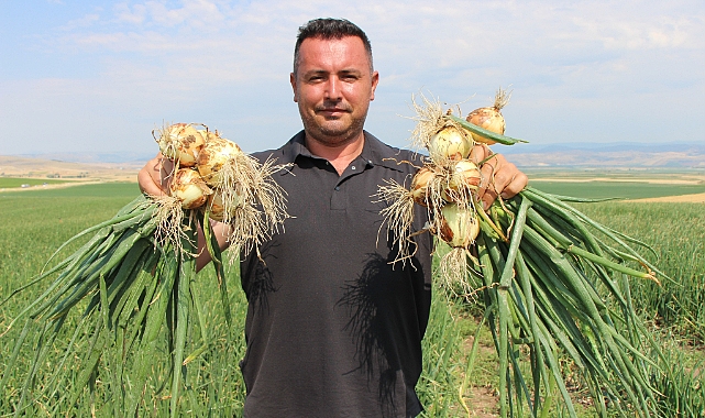 Amasya'da soğan bir bardak çaydan bile ucuz