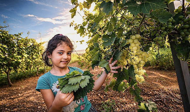 Erbaa'nın ödüllü fotoğrafları görücüye çıkıyor