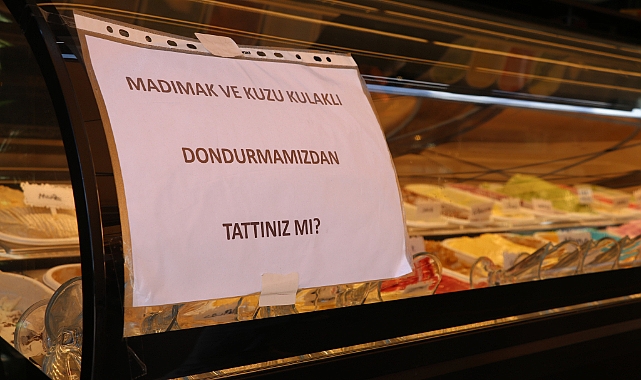 Türkülere konu olan madımağın dondurmasını yaptılar