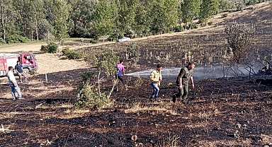 Yeşilyurt'ta örtü yangını: 15 dönüm ekili arazi küle döndü