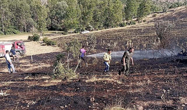 Yeşilyurt'ta örtü yangını: 15 dönüm ekili arazi küle döndü